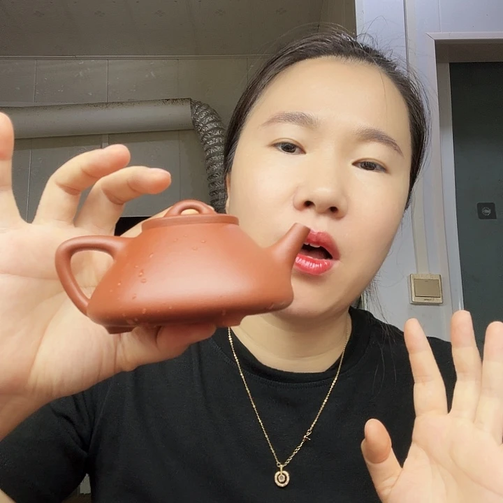 紫砂茶壶原矿半手工降坡子冶200cc