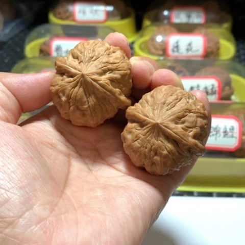 吊坠文玩核桃尸****蝇野生蜡皮