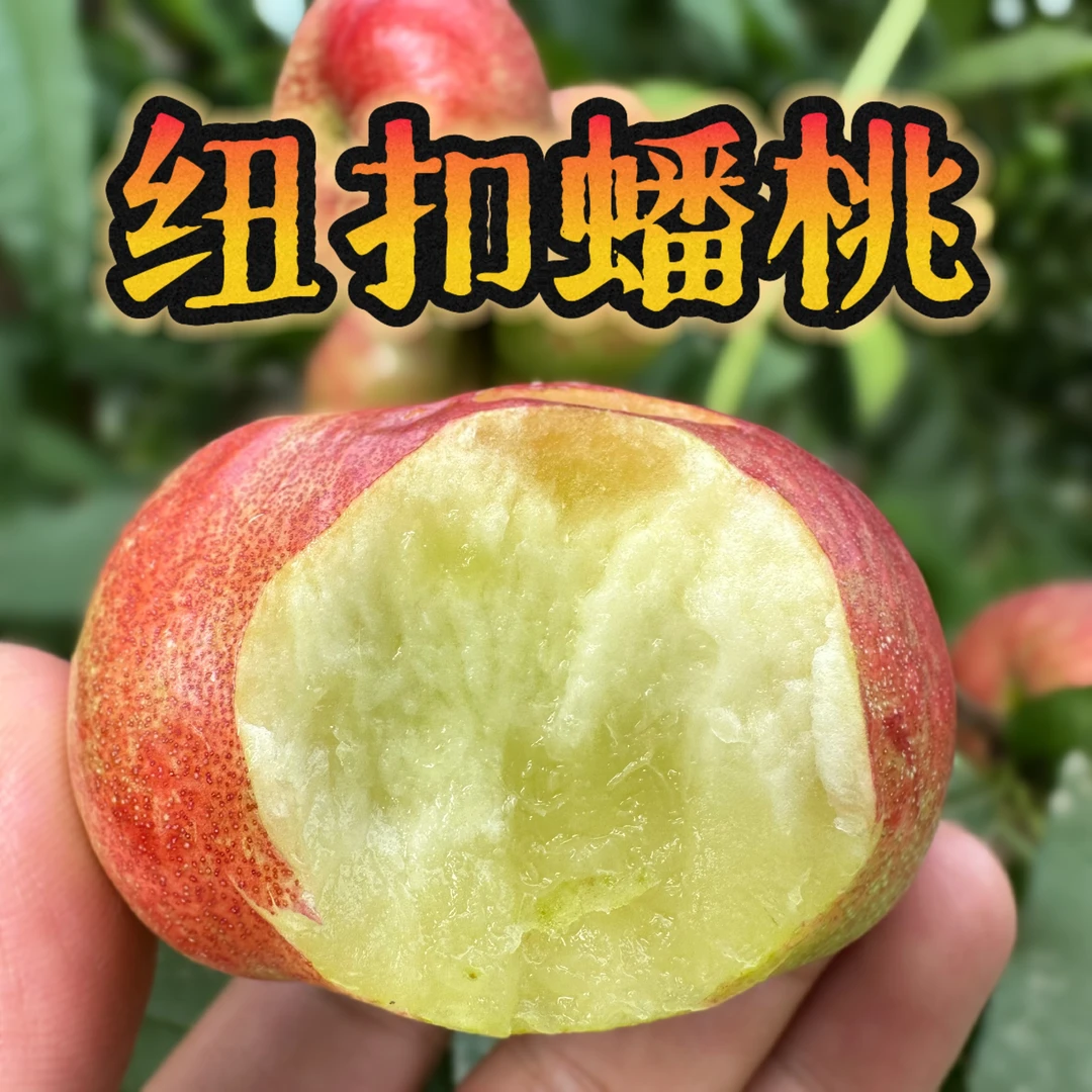 纽扣蟠桃新鲜水果陕西大荔油蟠桃现摘现发顺丰包邮
