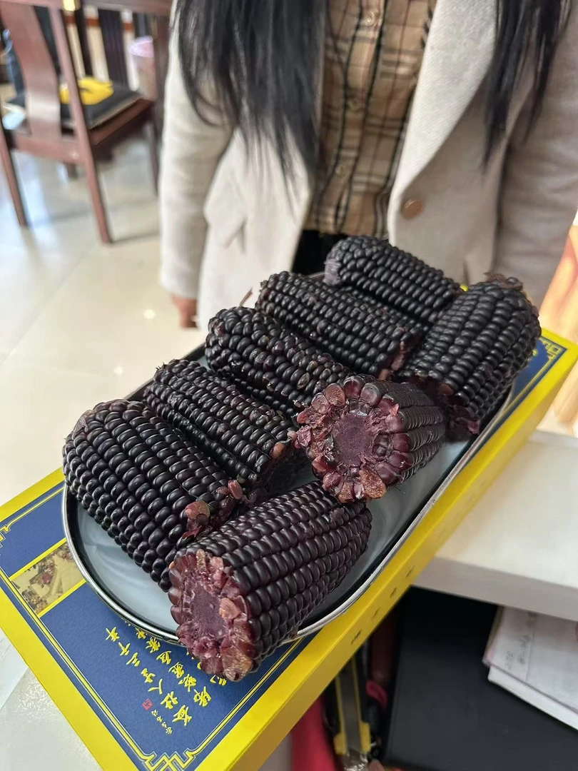 【试吃3支】鲜食玉米8支鲜糯香甜，老少皆宜，真空独立包装干净卫生