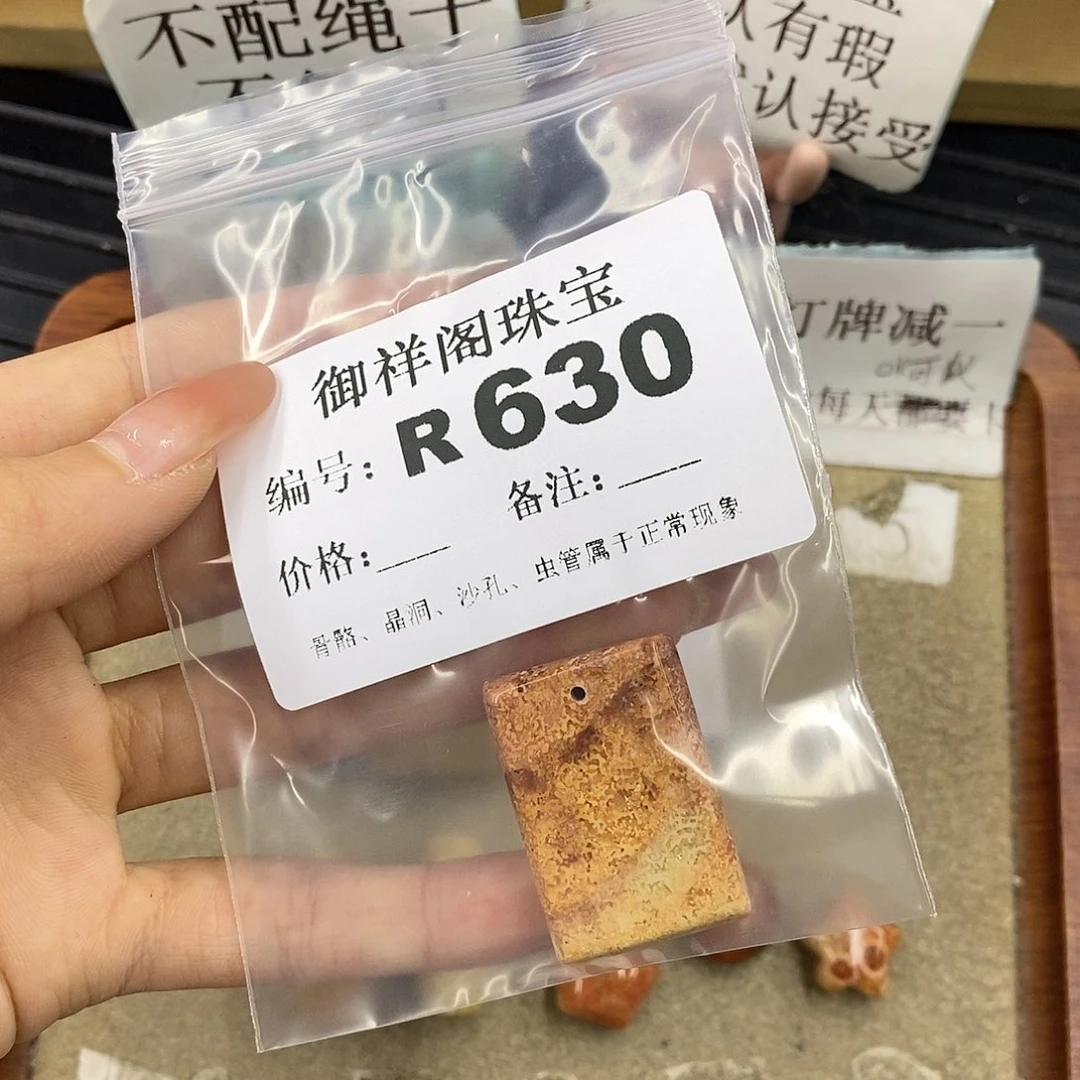 硅化珊瑚（珊瑚玉）未镶嵌颈饰书****界