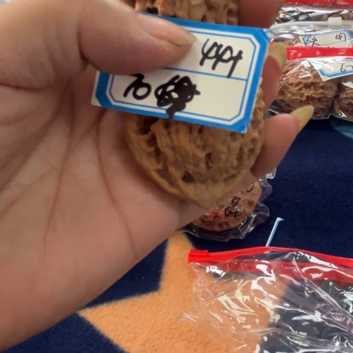 核桃44大官帽70号