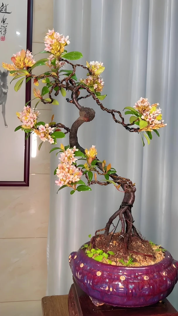 一物一拍、栀子花与海岛春花、组合盆景、美观造景佳品