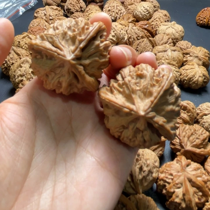 全品学超三棱练手对43尺寸核桃哈哈哈哈哈哈