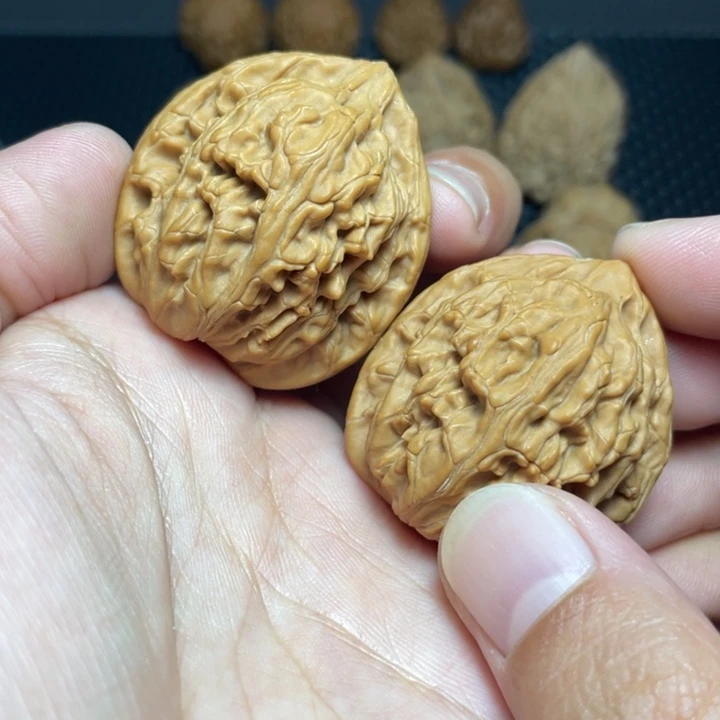 文玩核桃把件35玄武