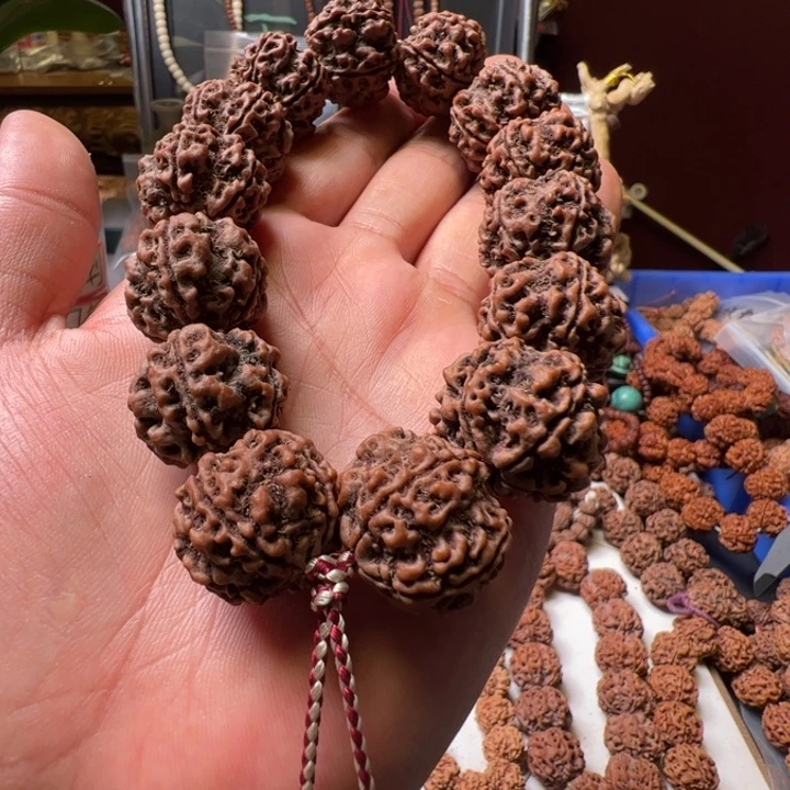 23粗筋大梅花柴纹