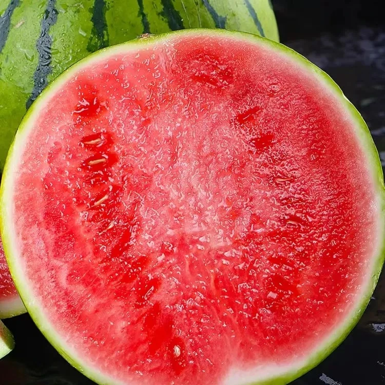 精选阳西上洋新鲜红肉西瓜2个/3个 4kg 5kg广东省