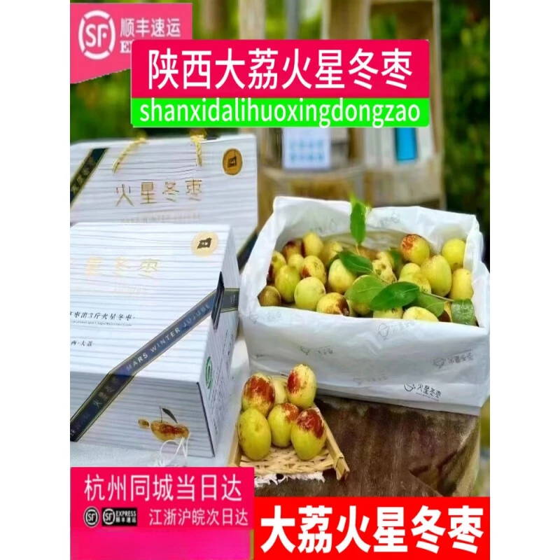 现货陕西大荔火星冬枣礼盒应当季新鲜精选时令大果脆甜可口包顺丰