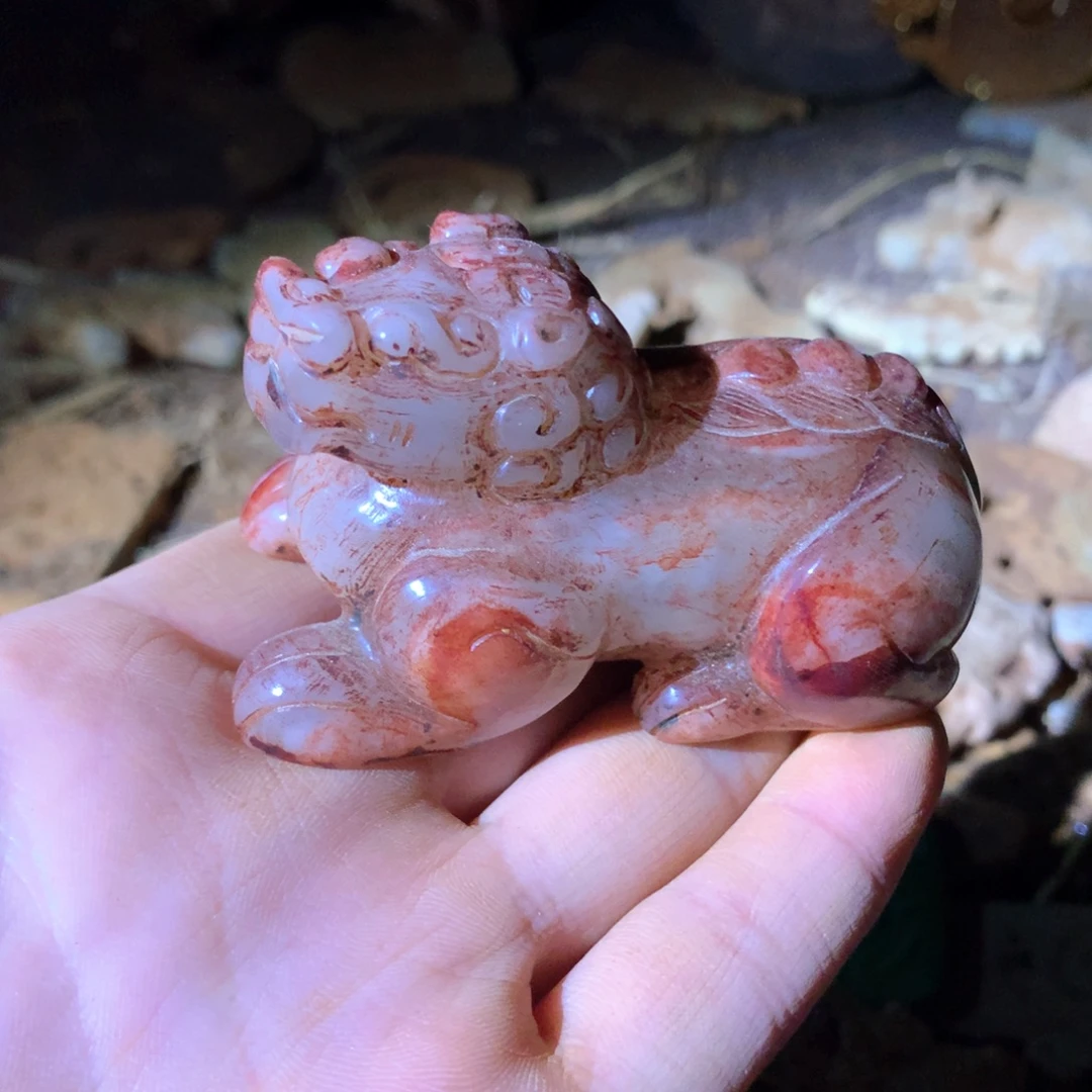 狮子11111111111111