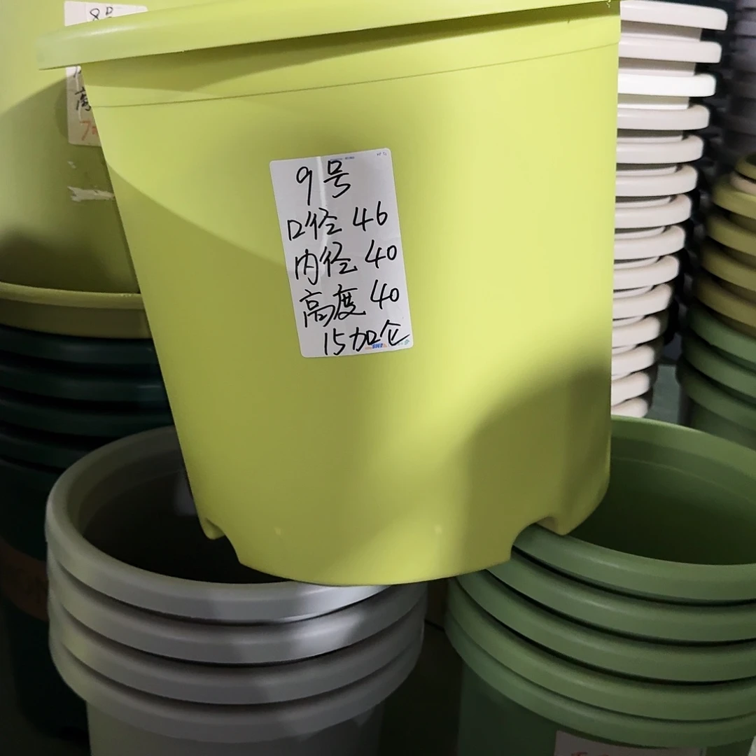 微瑕果绿色9号无拖3个