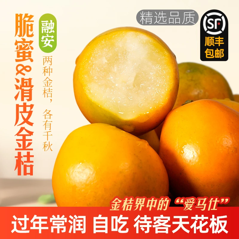 【顺丰】第三代广西融安脆蜜金桔新鲜滑皮糖心带皮脆甜应季水果