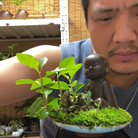 红陶专****心一物一拍所见即所得114