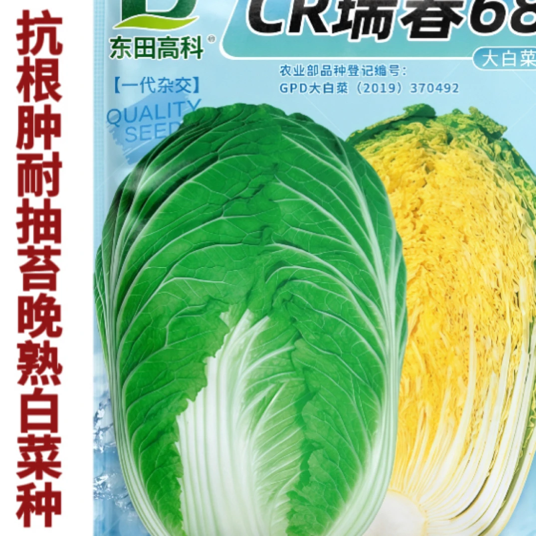 耐抽苔CR瑞春68大白菜种子春秋黄心中晚熟田间白菜种子