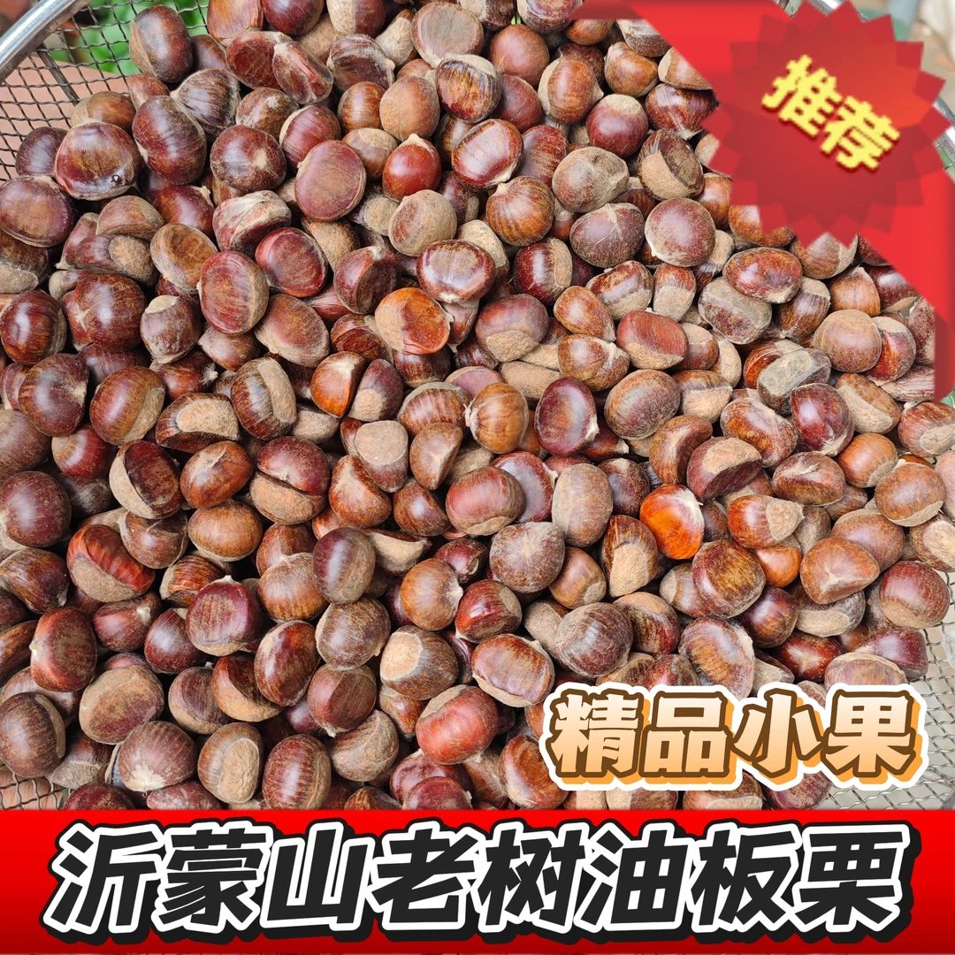 【精品小油栗】沂蒙山老树油栗子软糯香甜自然下树老树原生板栗