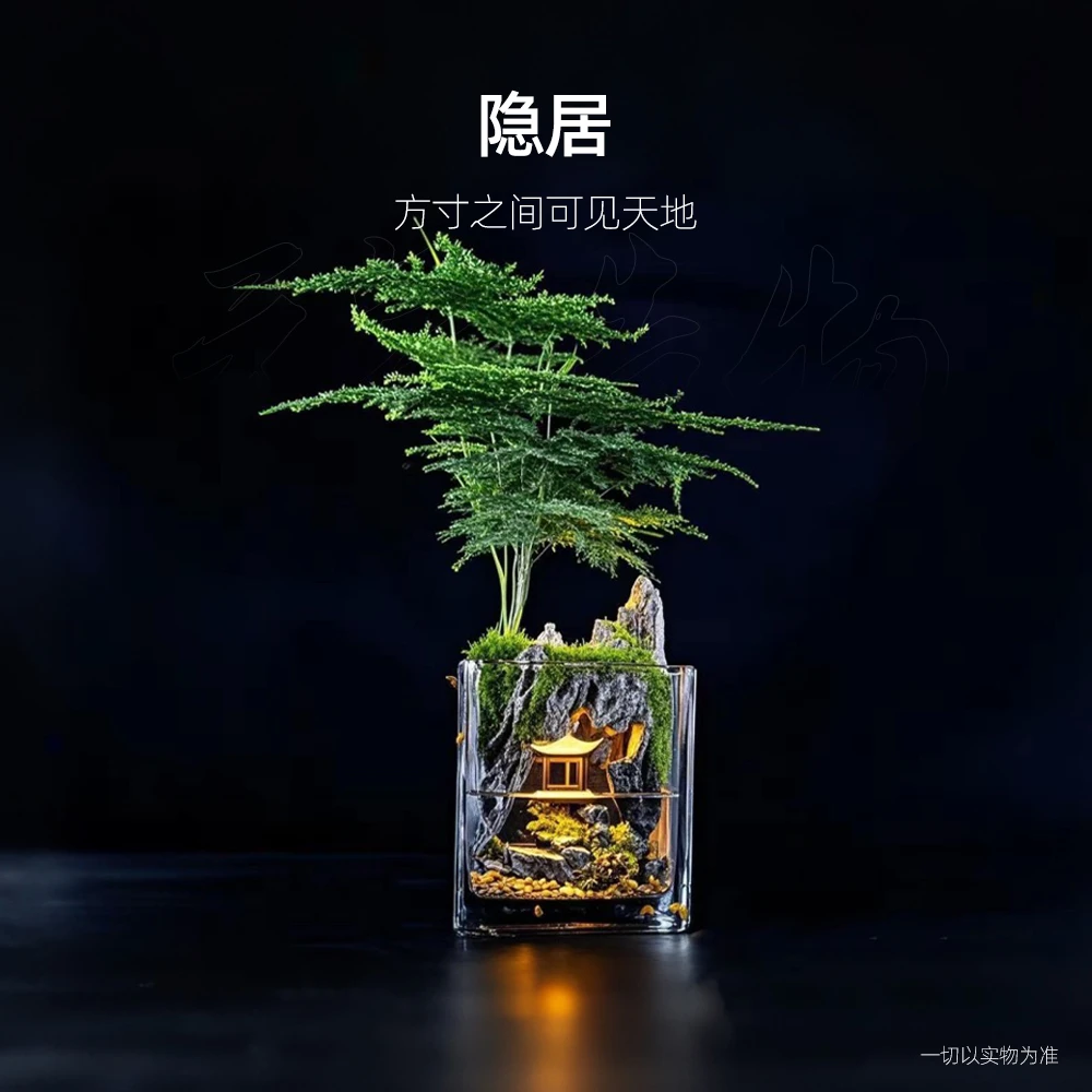 【鹤隐】隐居—文竹绿植造景成品真植物【尺寸：10*10】