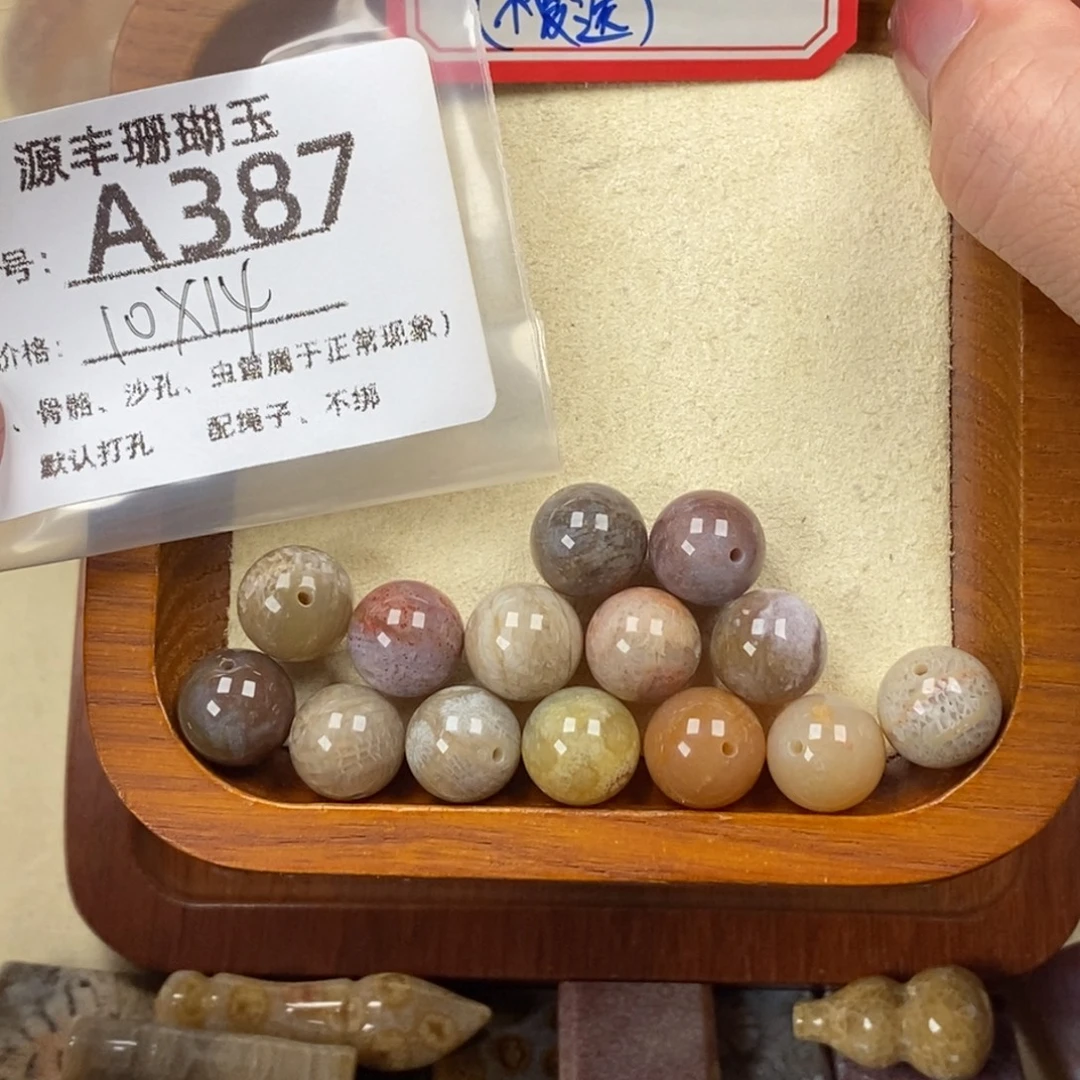 叁***迁硅化玉未镶嵌颈饰