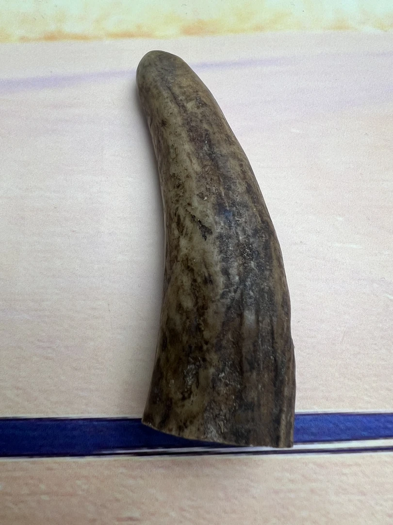 温  骆驼骨牙牙改价链接