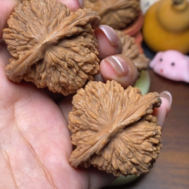 45全品毕业粗棱四座楼
