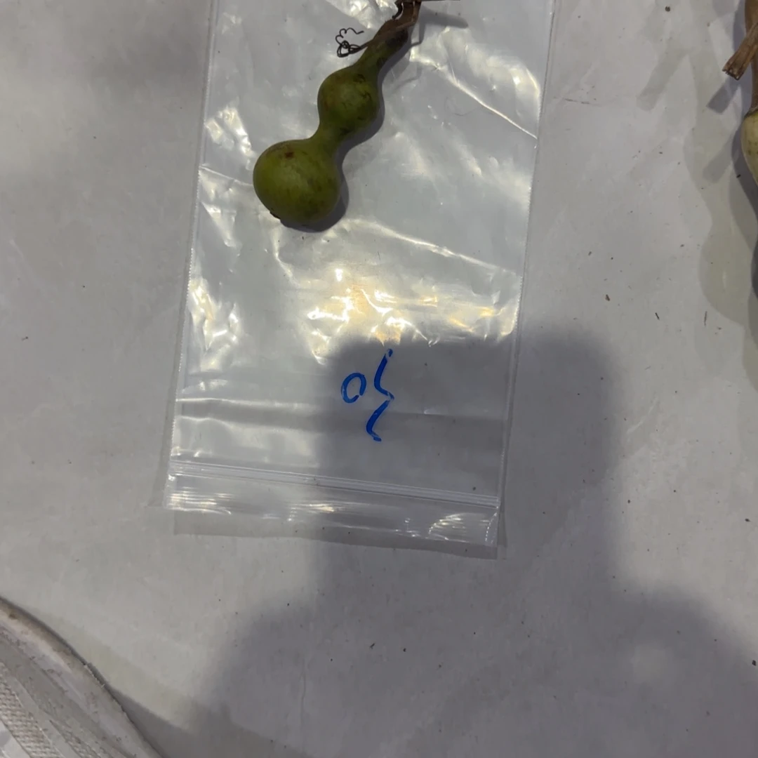 简***的青皮不包成青皮不包成