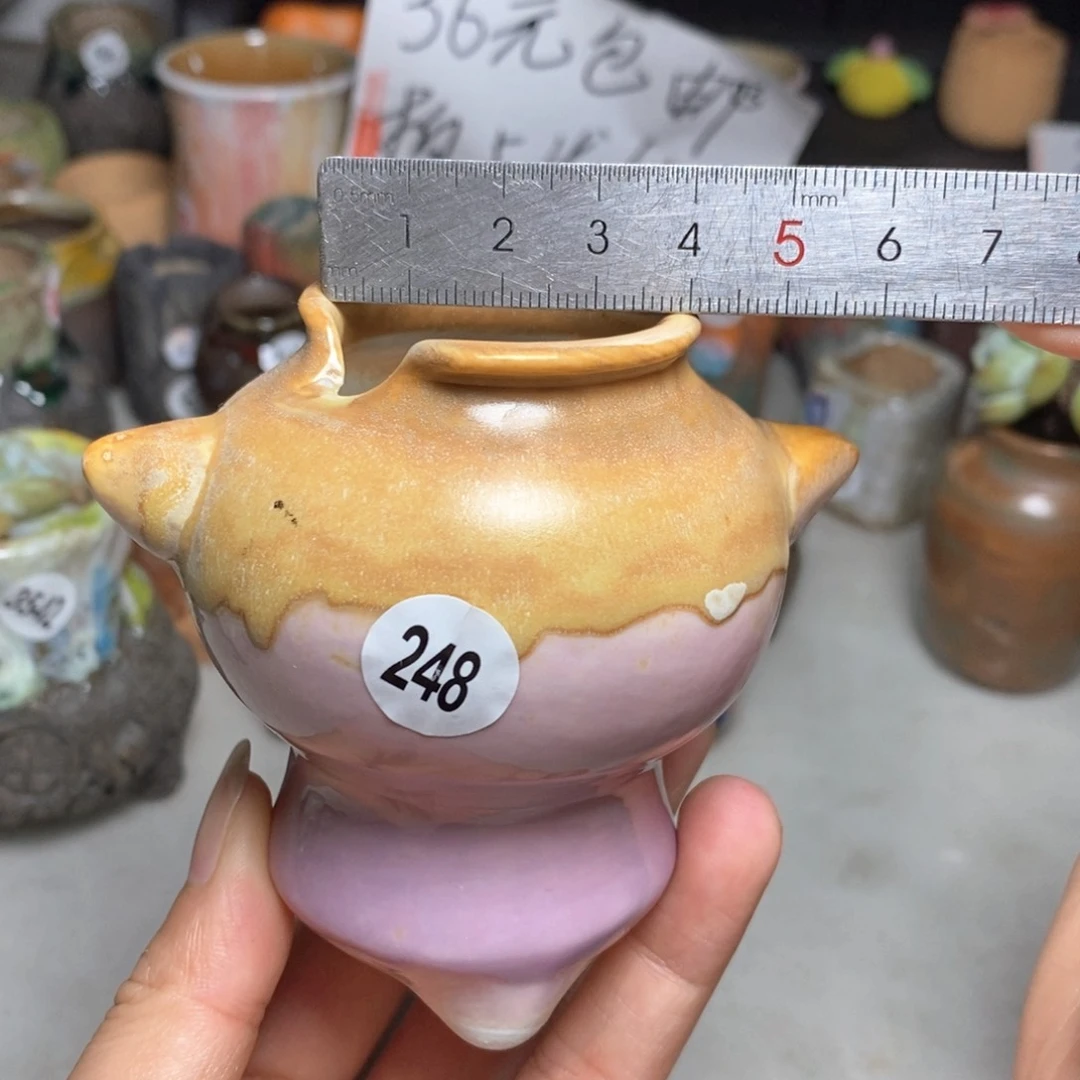 拍5送一个小礼物