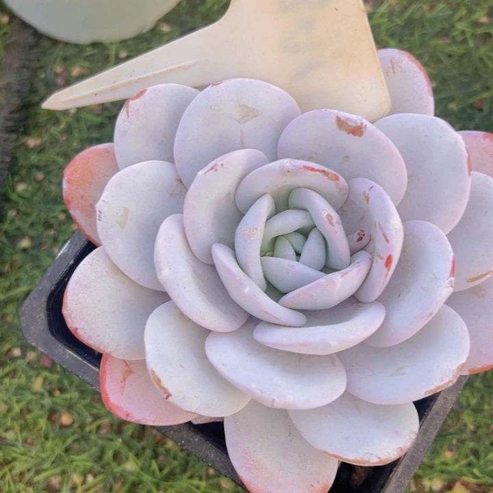 健健康康平平安安