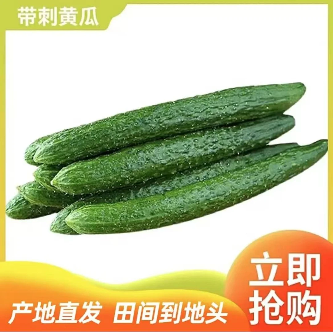 2500g黄瓜(5斤装)菜园现摘现摘现发新鲜绿瓤黄瓜脆甜爽口