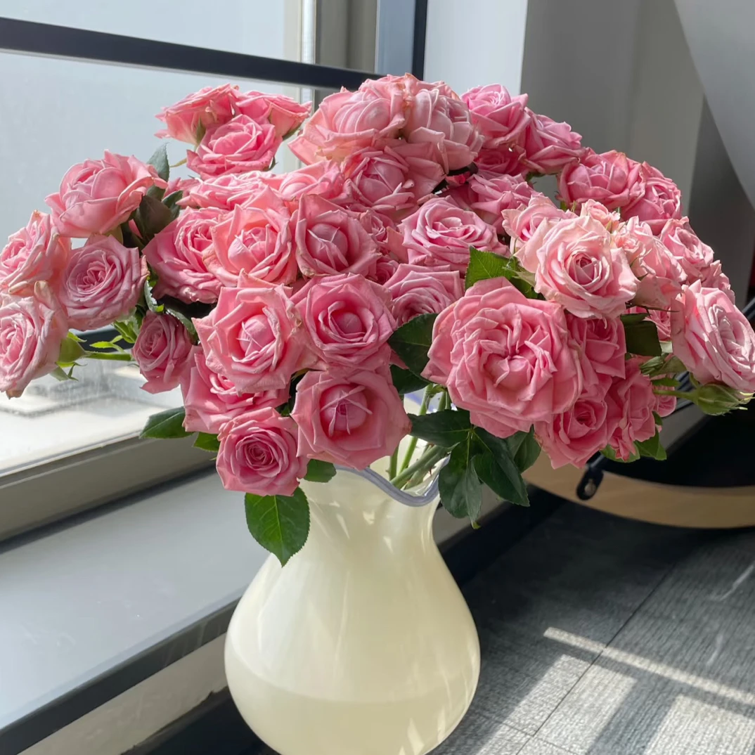 10支奥迪利亚多头玫瑰 云南基地直发 任意两单起发