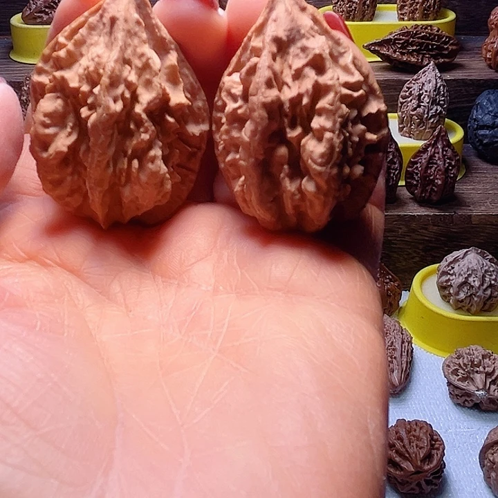 核桃19号ace放漏漏咯呀