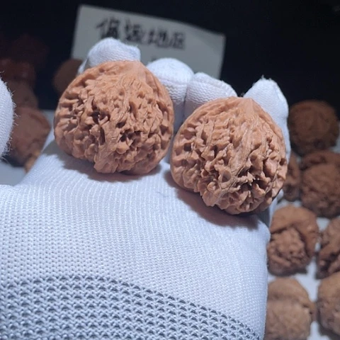 把件文玩核桃野生核桃