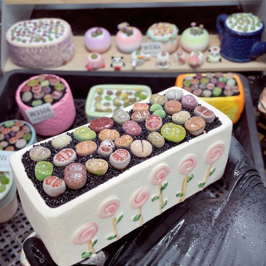 夜间零下地区拍保温箱w3510