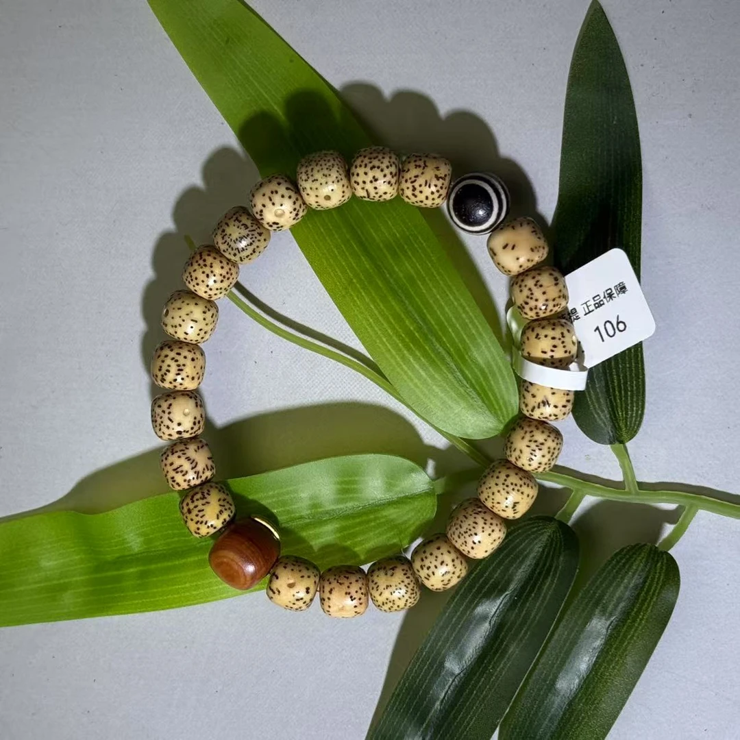 【尚御阁】pt单圈带眼