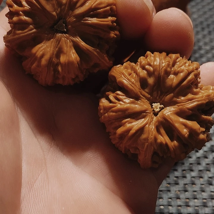 保***张文玩核桃把件文玩核桃三愣