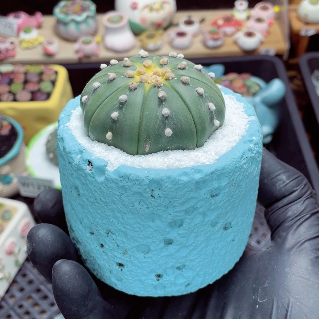 夜间零下地区拍保温箱w1280