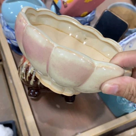 粉色花瓣13313131331