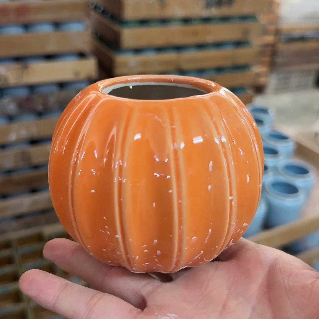 福利局绿植多肉盆［凑9元包邮24小时发］