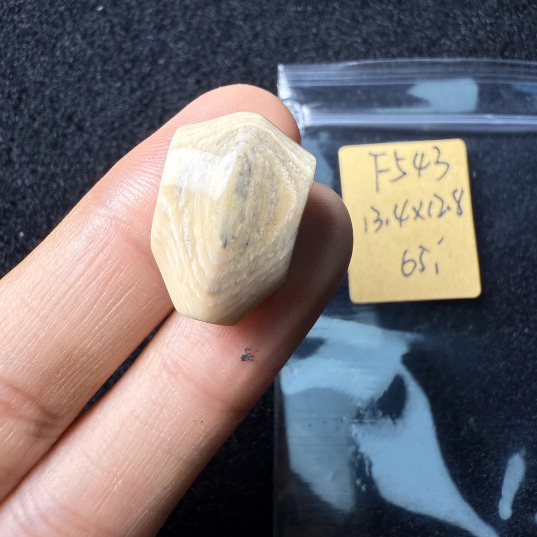 F543猛犸象牙对孔13.4*12.8mm鲨鱼背三通果冻料