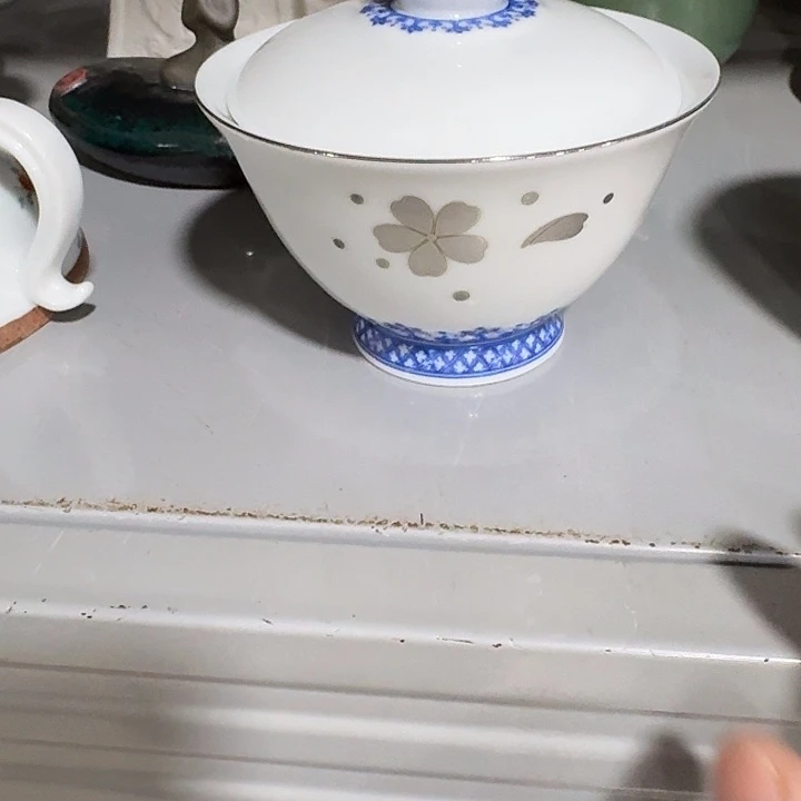 主人杯子一个，瓷。。。。