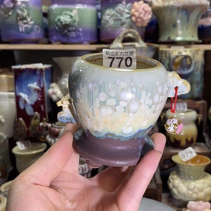 狼盆内口径6高度8