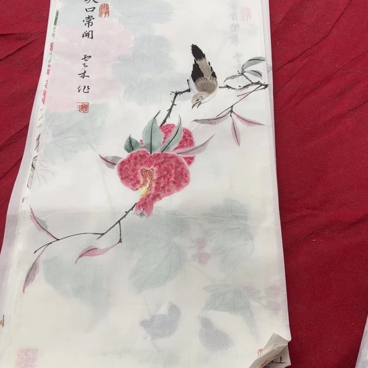 国画花鸟等多种鸟类