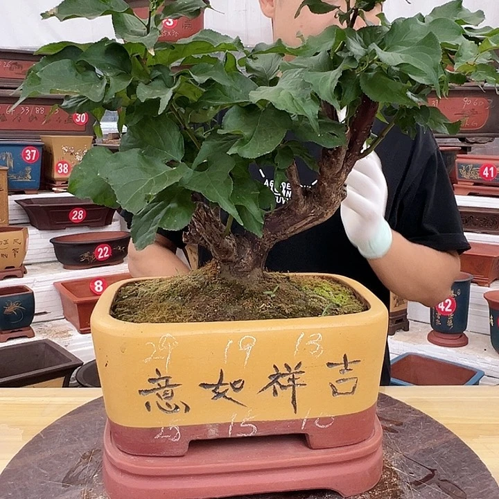 紫砂花盆工厂直发