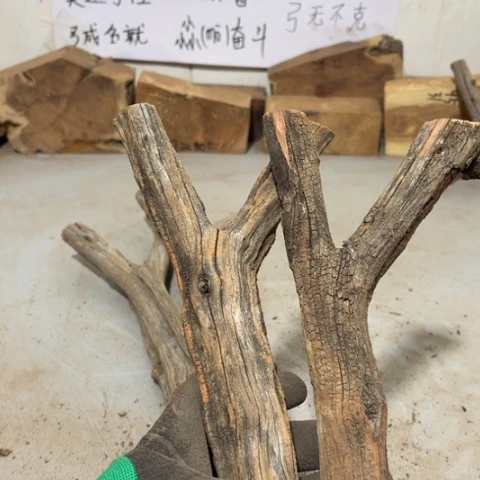 大果紫檀（缅甸花梨）龙****！