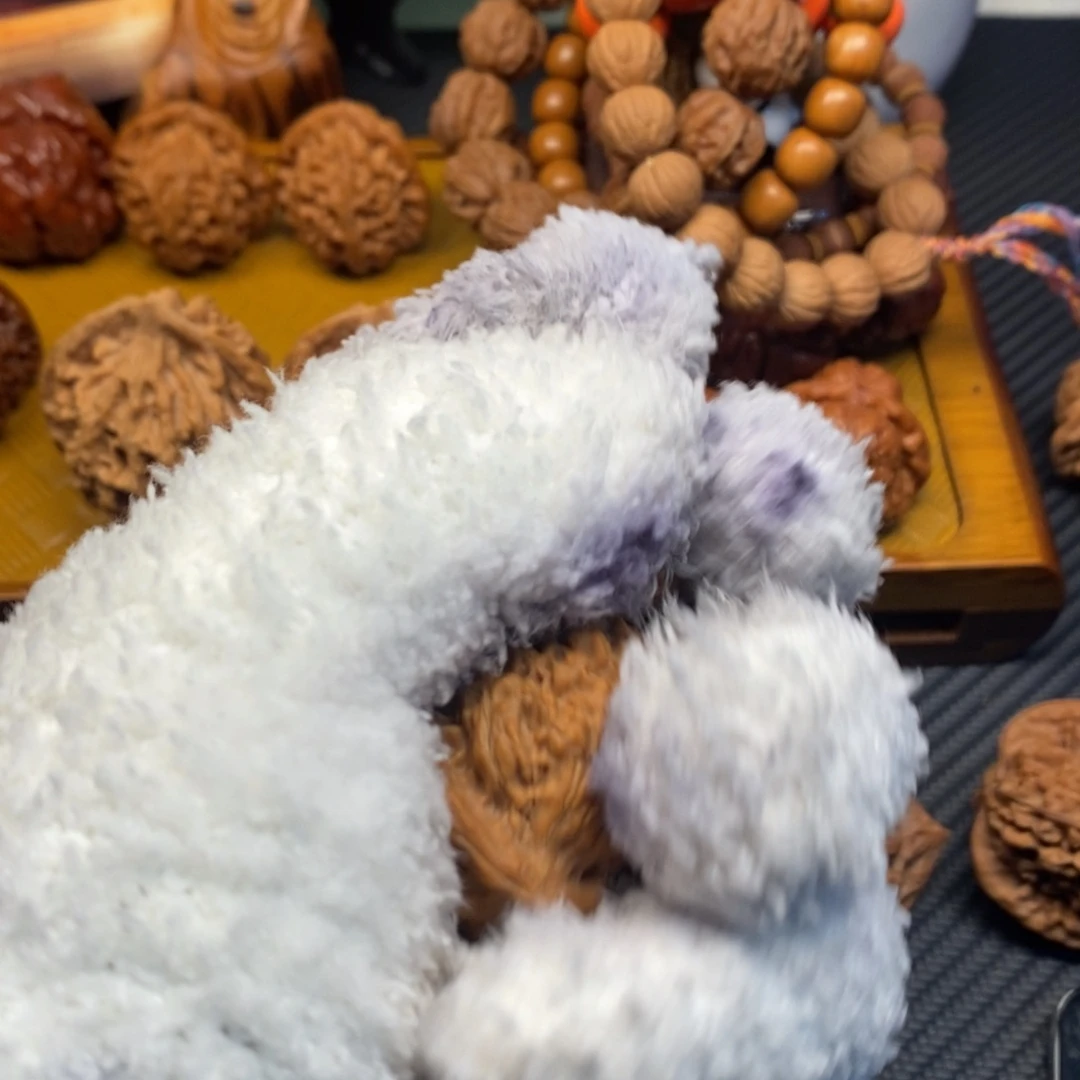 不***不文玩核桃吊坠秦岭森林中发现两条