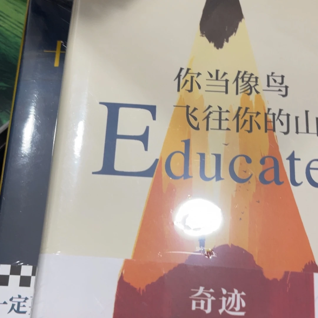 你当像鸟飞往你的山