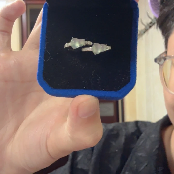 翡翠银S925镶嵌颈饰耳饰