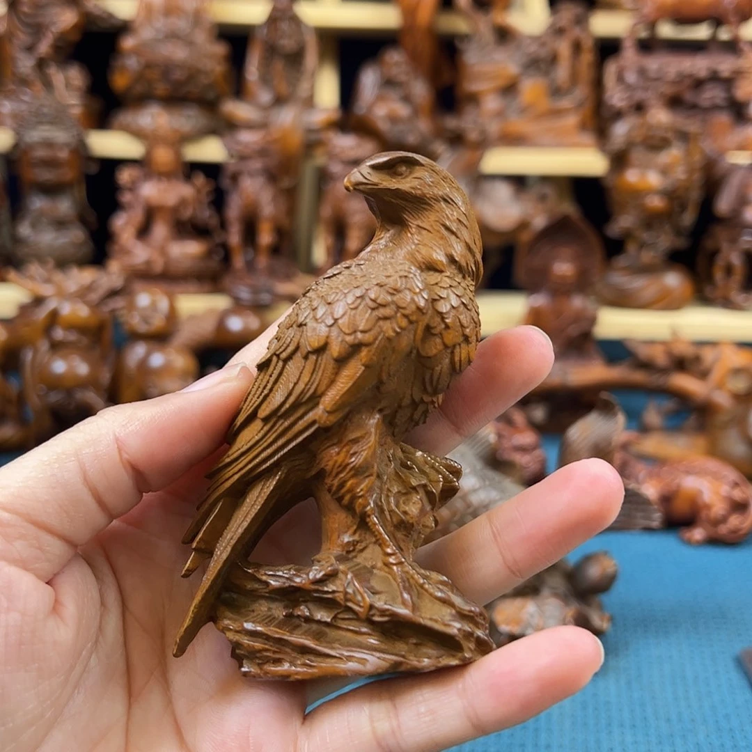 黄杨木李*厚小叶黄杨木