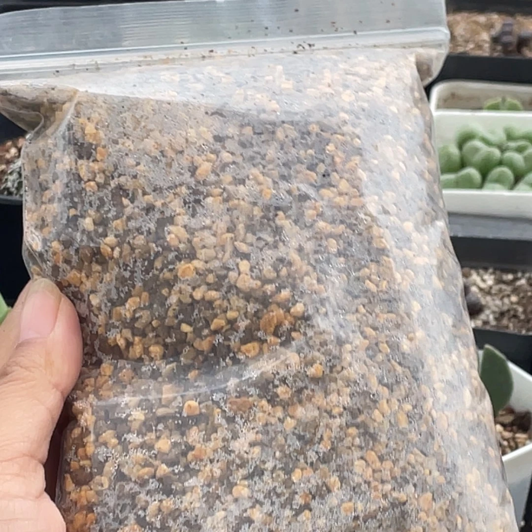 肉锥专用颗粒土一袋量拍