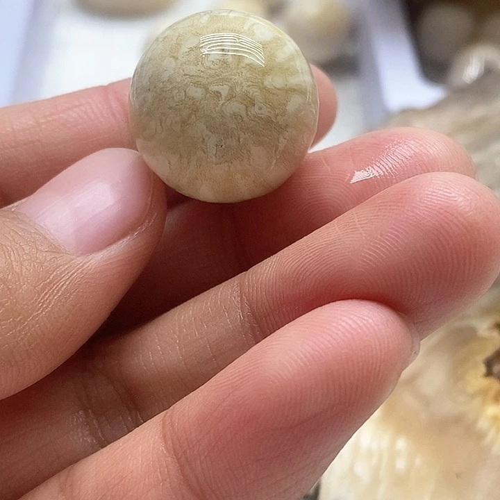 贝壳手串/手链皮会牛大圆珠2.0尺寸的