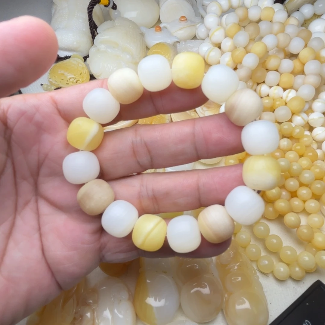 非金属贝壳M****9天然贝壳