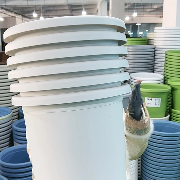 特价7号四季口33高33白色无托6个