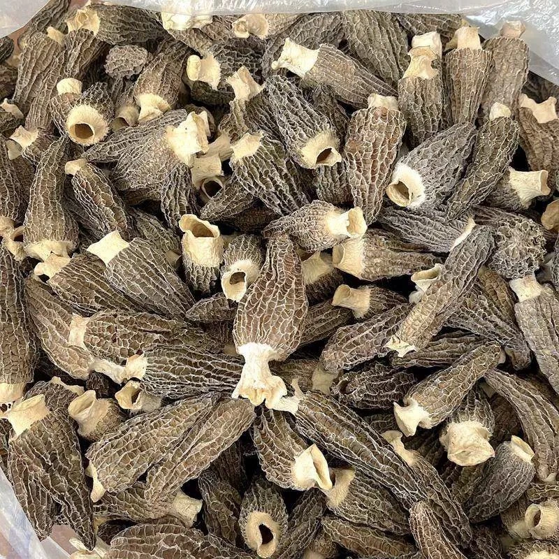 [方优专属]特产羊肚菌头茬干货肉厚饱满煲汤鲜美土特产